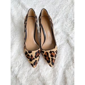 BCBGeneration Leopard Pointed Toe Pumps